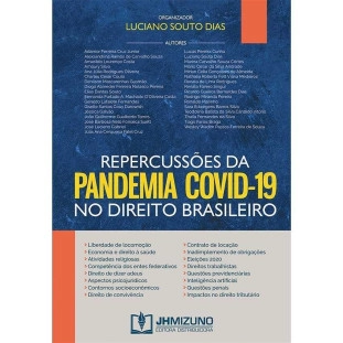 Repercussões da Pandemia COVID-19 no Direito Brasileiro 